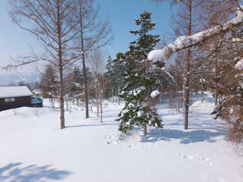 3 Annupuri Residences Premium Lot Lot 910