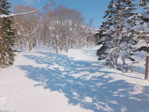 4 Annupuri Residences Premium Lot Lot 910