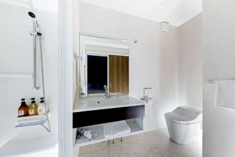 6 Grey Wolf original