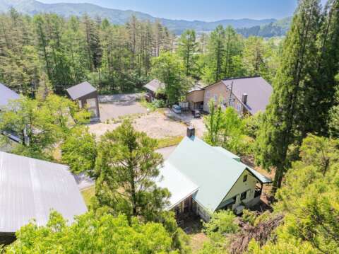 3 Forest House