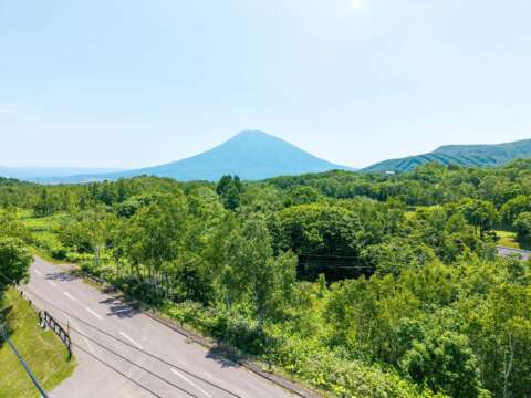 11 Hanazono Vista summer
