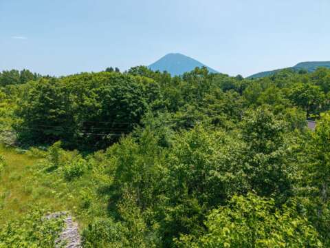 13 Hanazono Vista summer