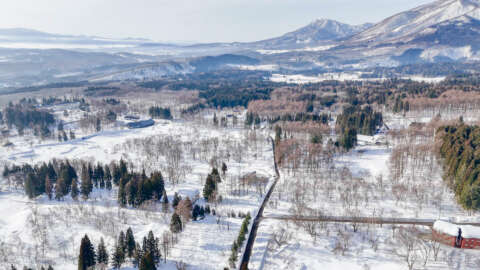 8 Ikenohara Alpine