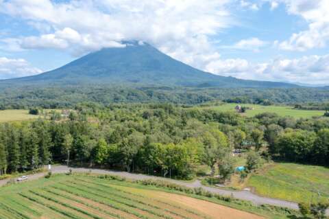 3 Kabayama Forest Retreat