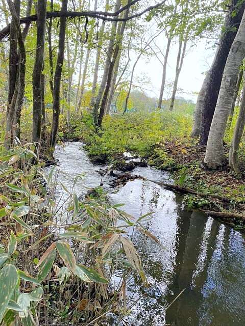 4 Kabayama Forest Retreat