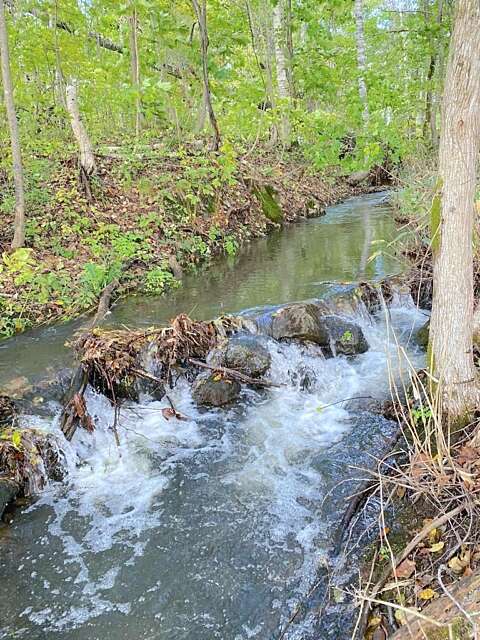 5 Kabayama Forest Retreat