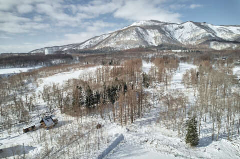 8 Kabayama Serenity Lot