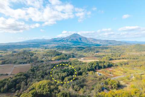 1 Kondo edited 221025