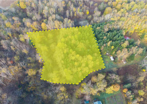 13 Kondo marked resized