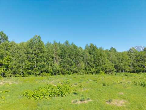 12 Kutchan Corridor 1 8 Ha Development Site