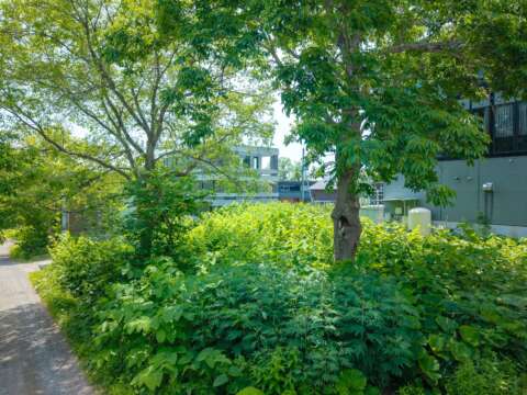 2 Lower Hirafu Double Lot