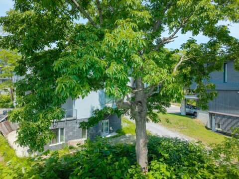 3 Lower Hirafu Double Lot