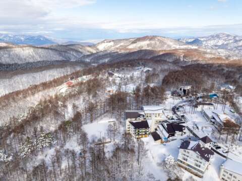 22 Lumbers winter resized