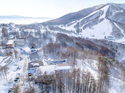 23 Lumbers winter resized