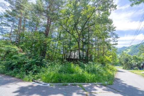 12 Meitetsu Corner Lot