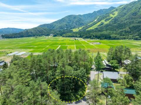 9 Meitetsu Corner Lot