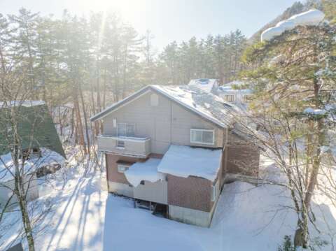 2 Winter Misorano Forest Chalet