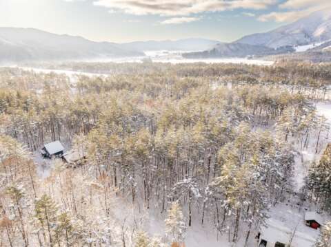 7 Misorano Forest Estate