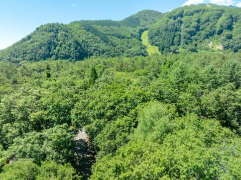 1 Misorano Grove Lot resized