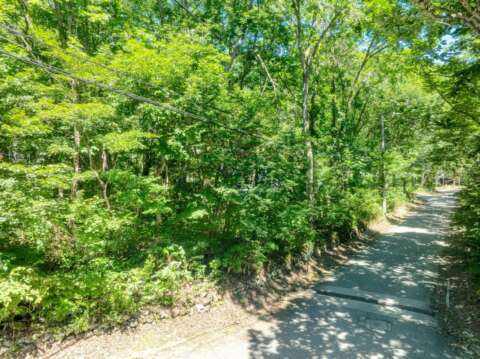 7 Misorano Grove Lot resized