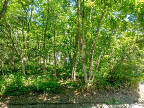 9 Misorano Grove Lot resized