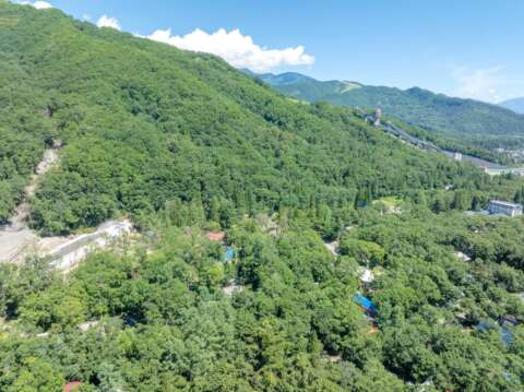 6 Misorano Grove Lot