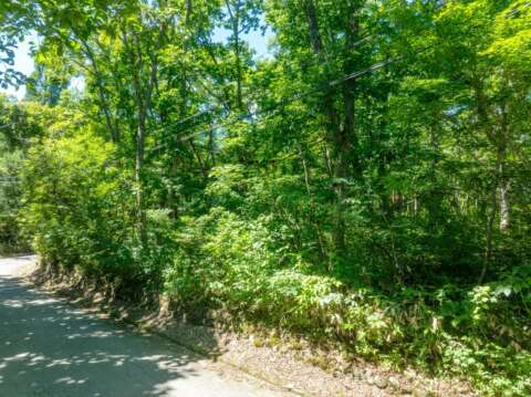 8 Misorano Grove Lot
