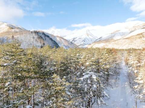 1 Misorano Super Site winter