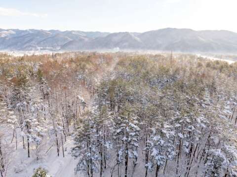 4 Misorano Super Site winter