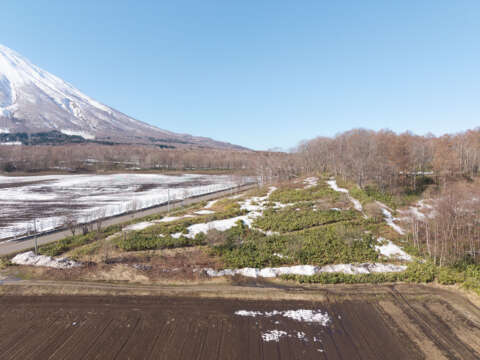 11 Mount Yotei Foothills Site