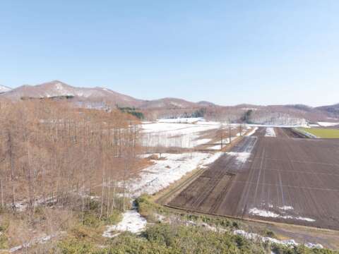 8 Mount Yotei Foothills Site