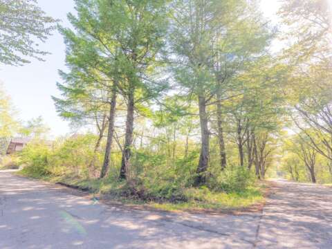 13 Myoko Grand Estate