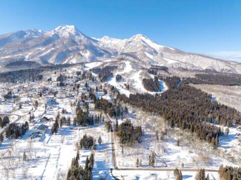 NEW10 Myoko Dev Site