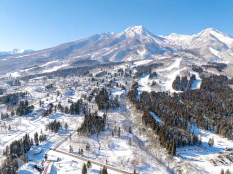 NEW12 Myoko Dev Site