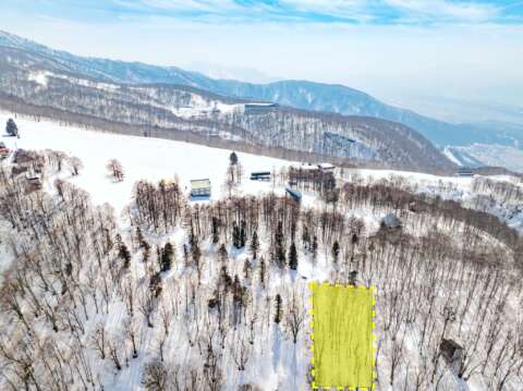 3 Nozawa Slopeside land highlightjpg page 0001