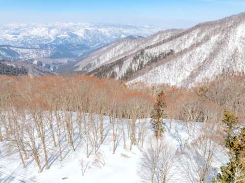 7 Nozawa Slopeside land