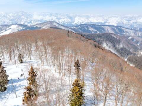 8 Nozawa Slopeside land