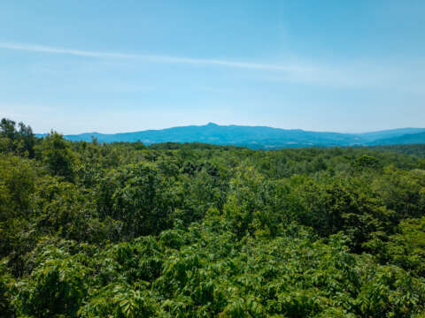 11 Royal Town Land