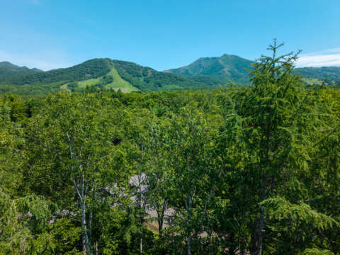 13 Royal Town Land
