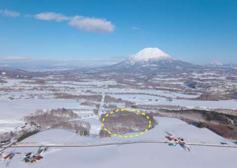 22 NEW Soga Acreage Winter