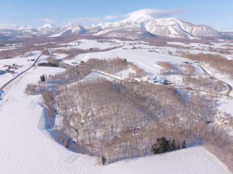 15 NEW Soga Acreage Winter