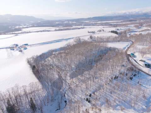 16 NEW Soga Acreage Winter