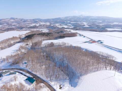 17 NEW Soga Acreage Winter