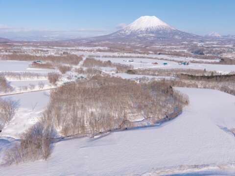 18 NEW Soga Acreage Winter