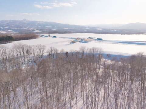 19 NEW Soga Acreage Winter