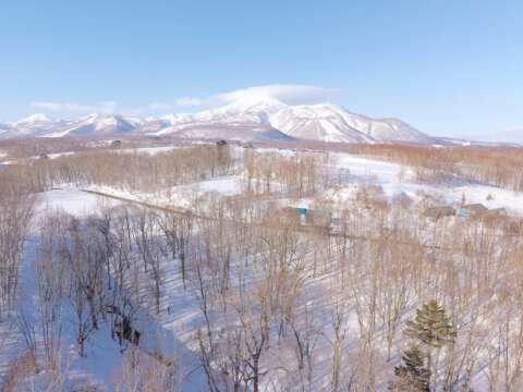 20 NEW Soga Acreage Winter