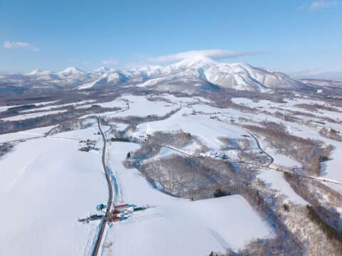 21 NEW Soga Acreage Winter