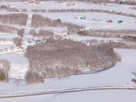 23 NEW Soga Acreage Winter