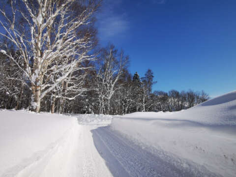 2 Winter Soga Meadows II