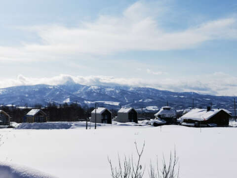 3 Winter Soga Meadows II